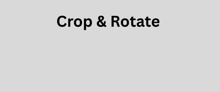 crop and rotate